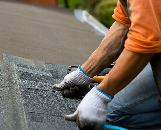 Best New Roof Installation  in Monticello, KY