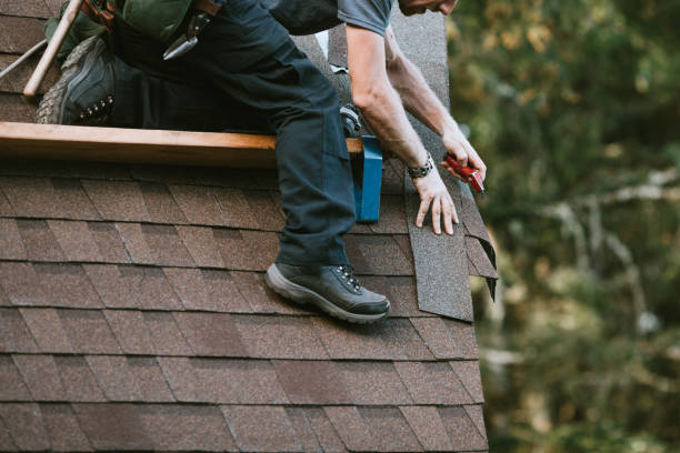 Best Metal Roofing Contractor  in Monticello, KY